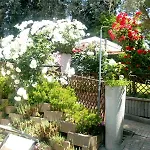 Castiglione 4*