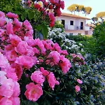 Castiglione Appart hôtel 4*