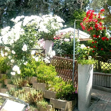 Castiglione 4*