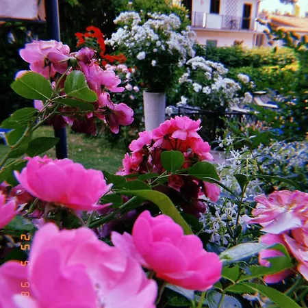 Castiglione 3* Castiglione del Lago