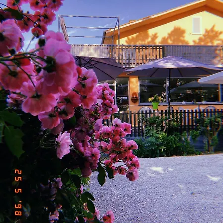 Castiglione Castiglione del Lago