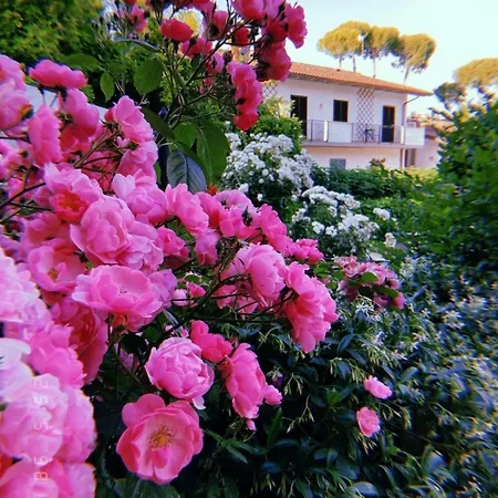 Castiglione Apartmanhotel *